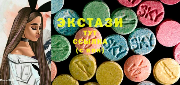 стаф Ельня
