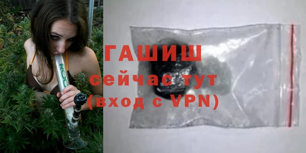 стаф Ельня