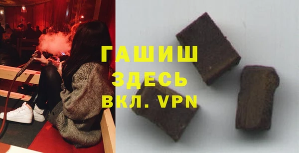 стаф Ельня