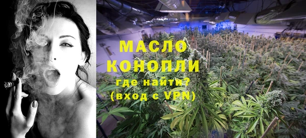 стаф Ельня