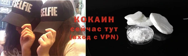 стаф Ельня