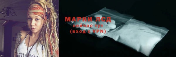 стаф Ельня