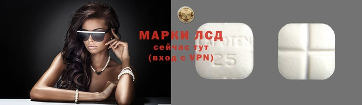стаф Ельня