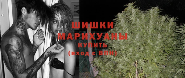стаф Ельня