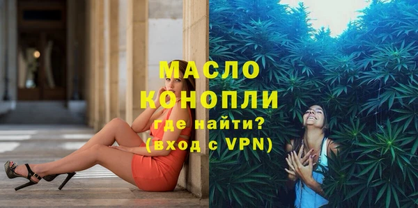 стаф Ельня
