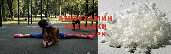 стаф Ельня